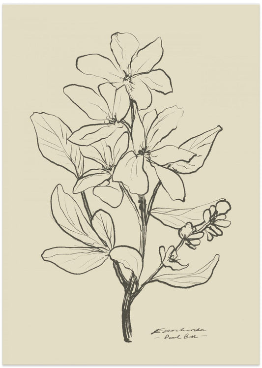 Floral 1 - Art Print by Dan Hobday