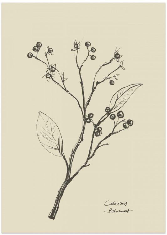 Floral 2 - Art Print by Dan Hobday