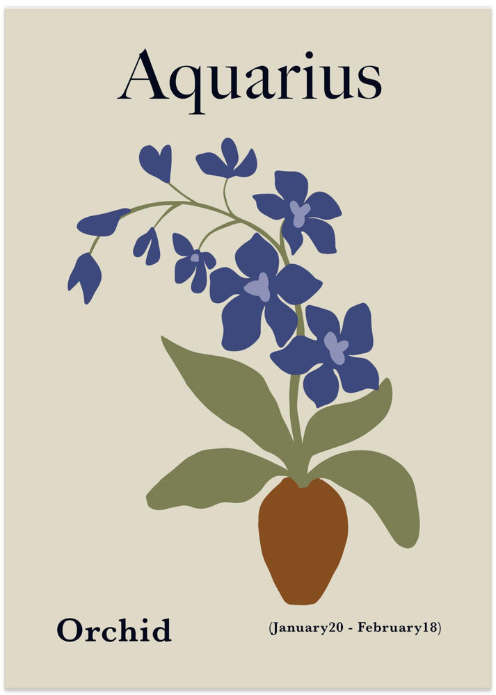 Aquarius Orchid - Art Print by Miho Art Studio