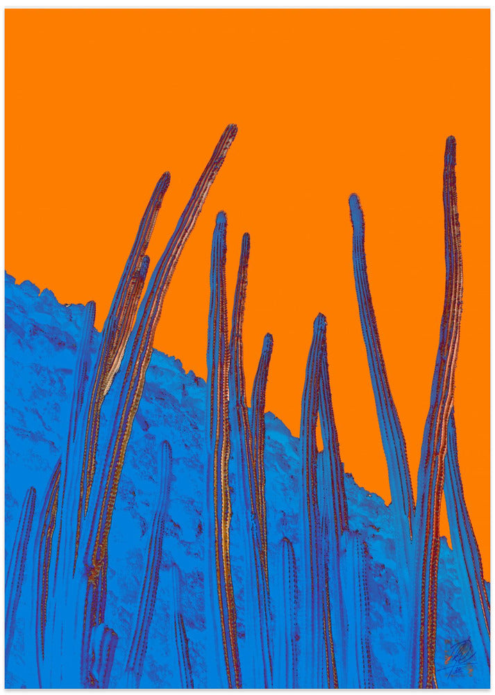 Antenas - Art Print by Osvaldo Russo