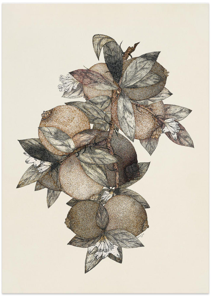 Pomegranate (1867) Rufus King - Art Print by Rufus King