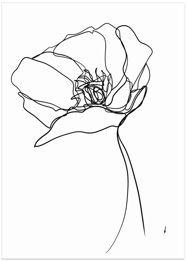 Poppy in One Line - Art Print by Ankie Kooi