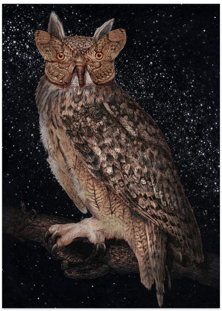 Camouflage and Stars Colour - Art Print by EC Mazur