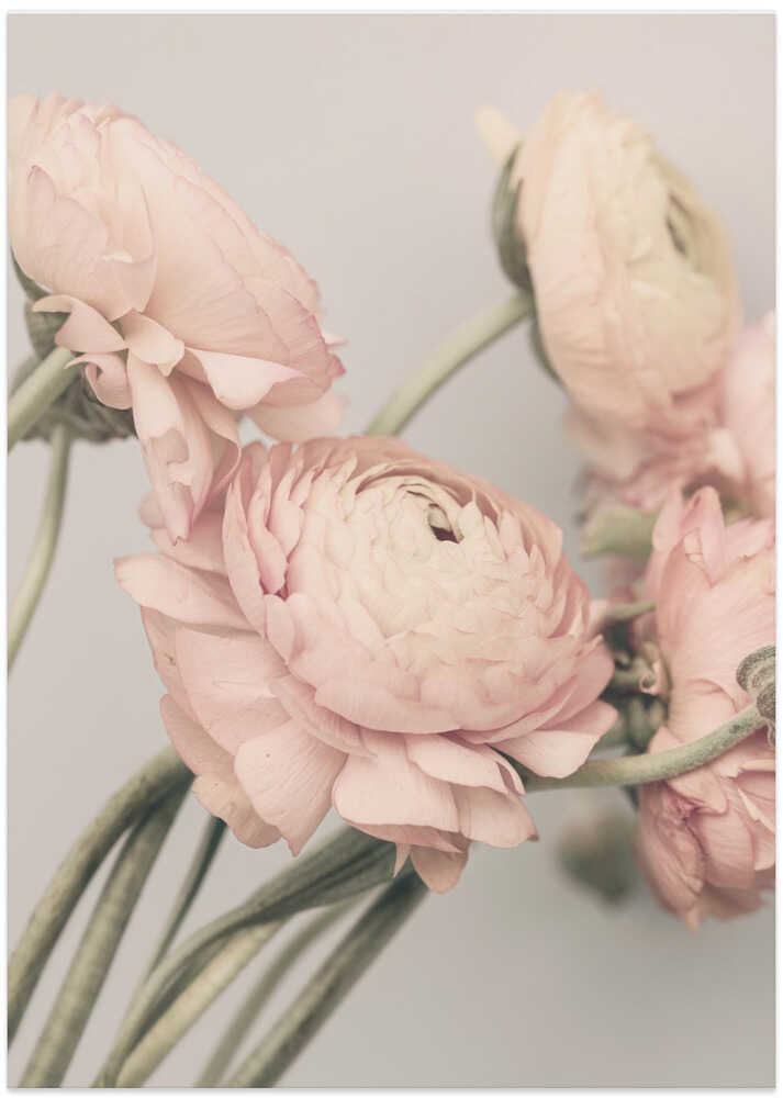 01644 - Art Print by Kathrin Pienaar