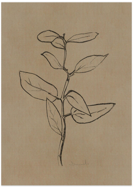 Eucalyptus Sapling - Art Print by Dan Hobday