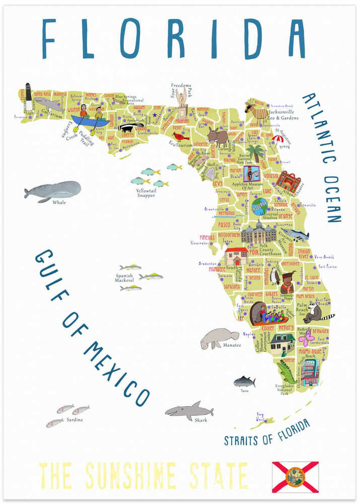 Illustrated Map of Florida by Artist Carla Daly - Art Print by Carla Daly Travel Poster