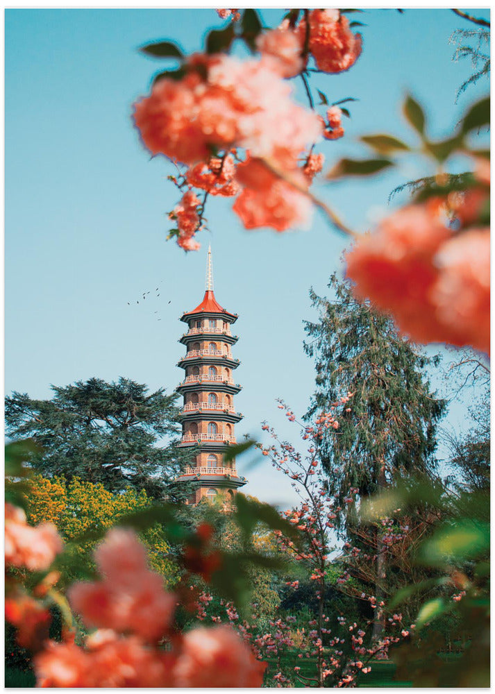 Kew Garden - Art Print by Gabor Estefan