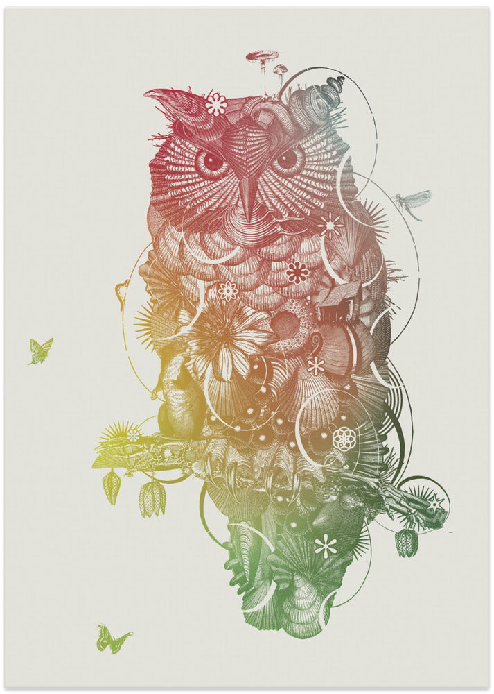 Owl - Art Print by Jaco Putker