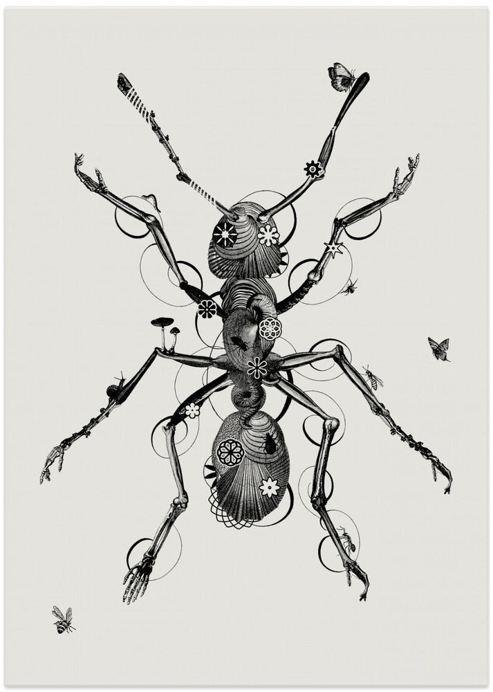 Ant - Art Print by Jaco Putker