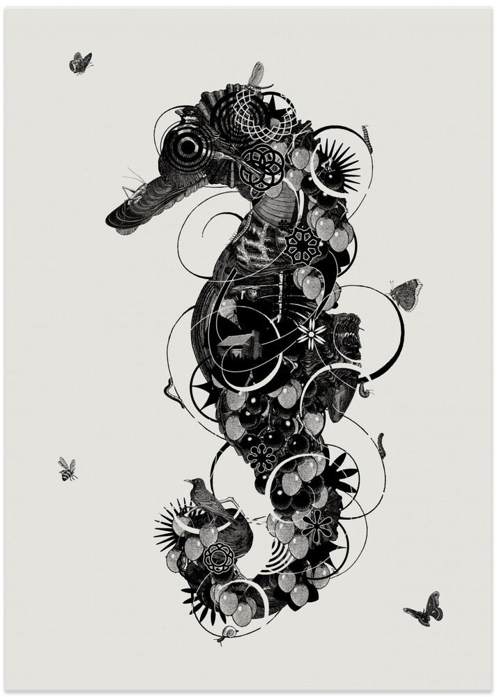 Seahorse - Art Print by Jaco Putker