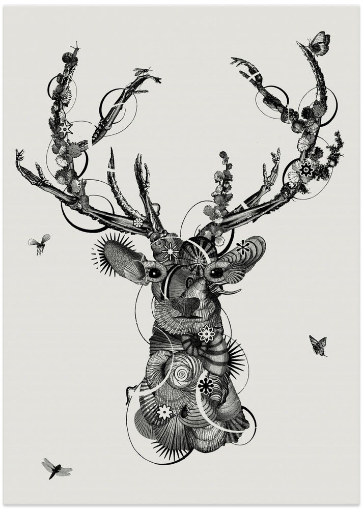 Deerhead - Art Print by Jaco Putker