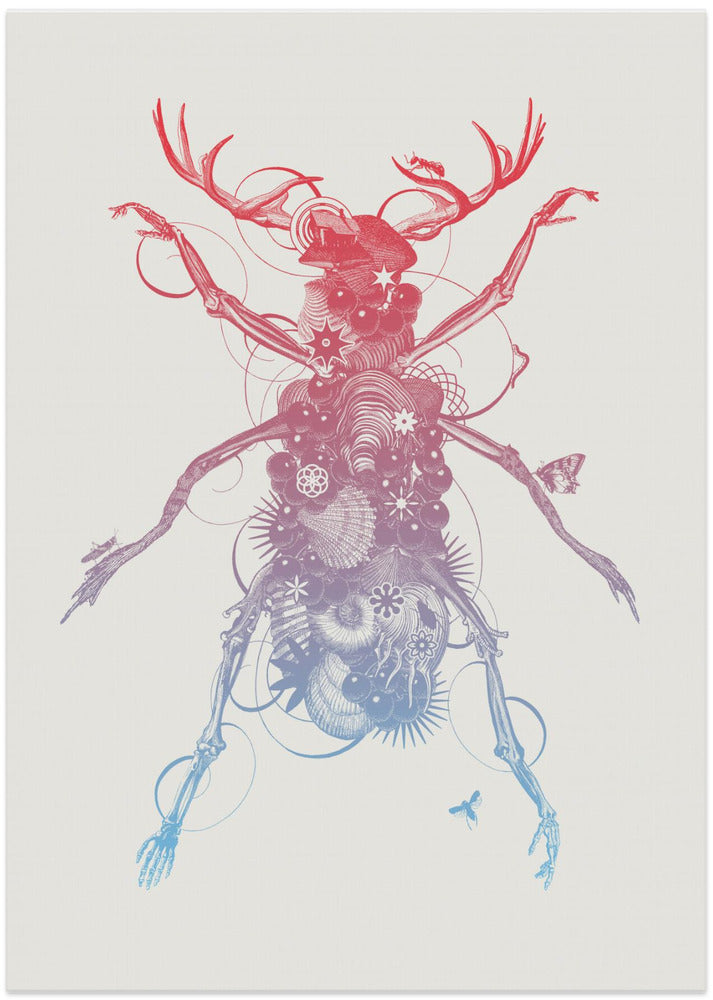 Beetle 2 - Art Print by Jaco Putker