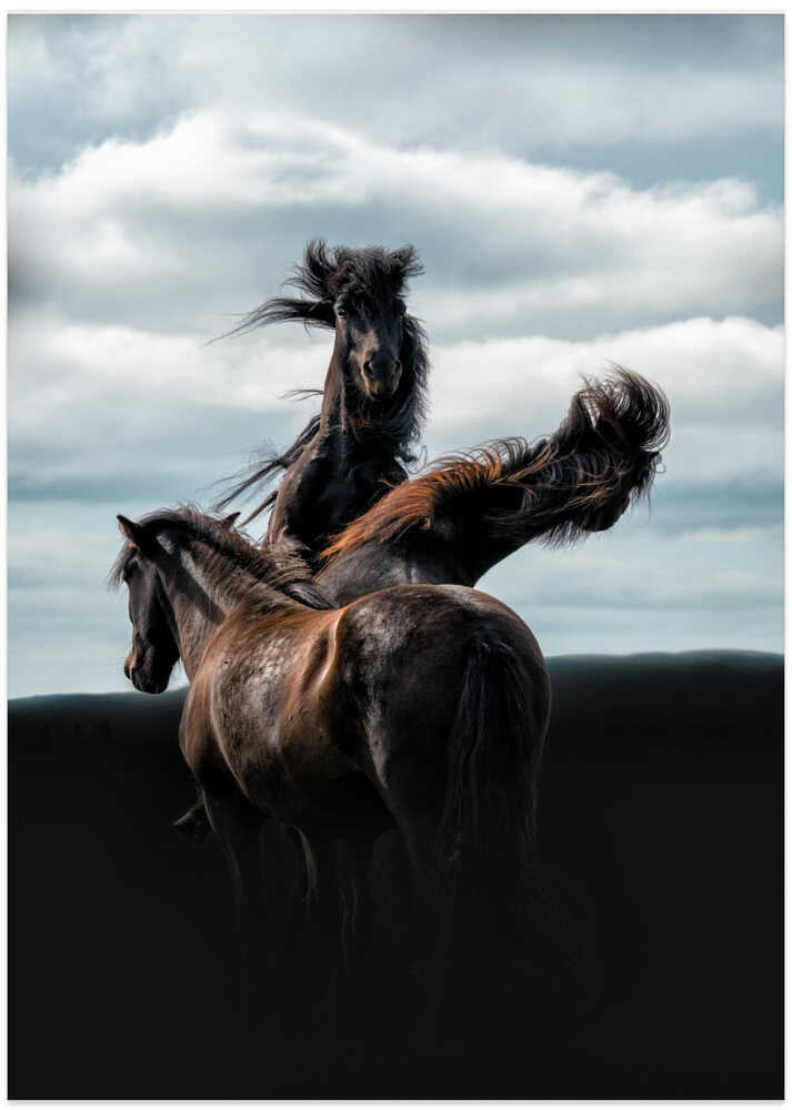Three Horses - Art Print by Aidong Ning