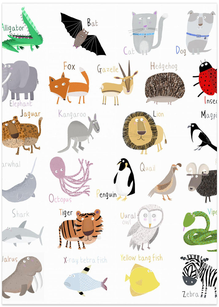 Illustrated Alphabet Animal Letters on White Background by Carla Daly - Art Print by Carla Daly