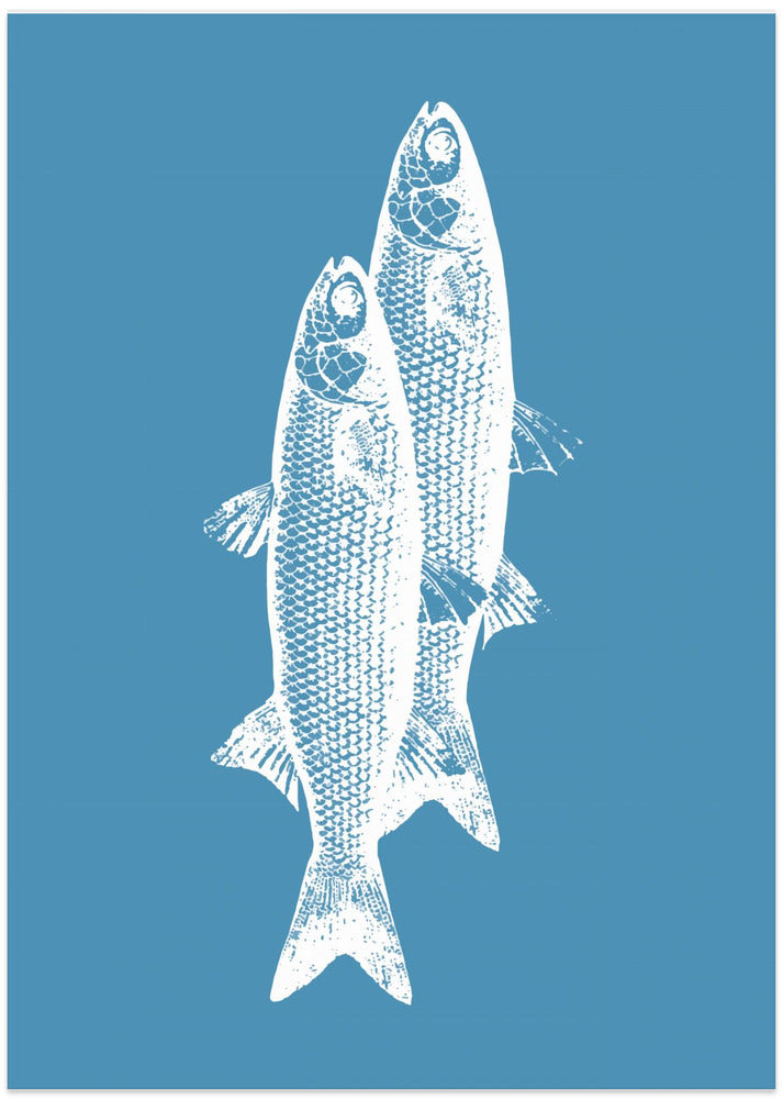 Pescados - Art Print by Elizabeth C