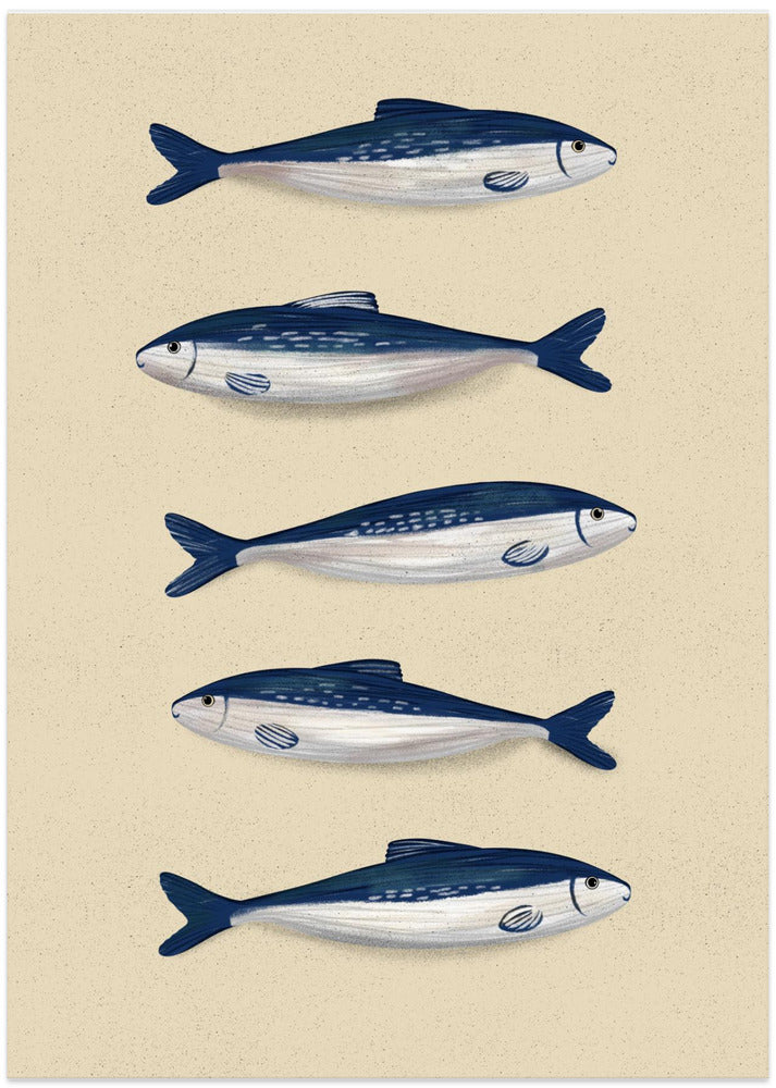 Sardines - Art Print by EMELIEmaria