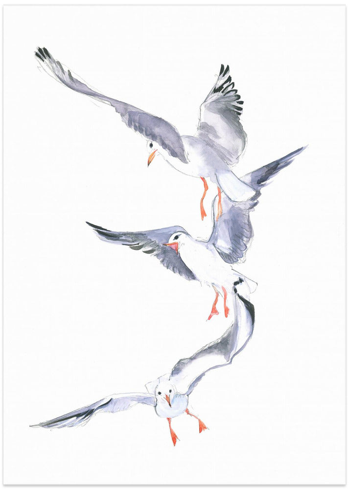 Seagull Flight - Art Print by Isabelle Brent