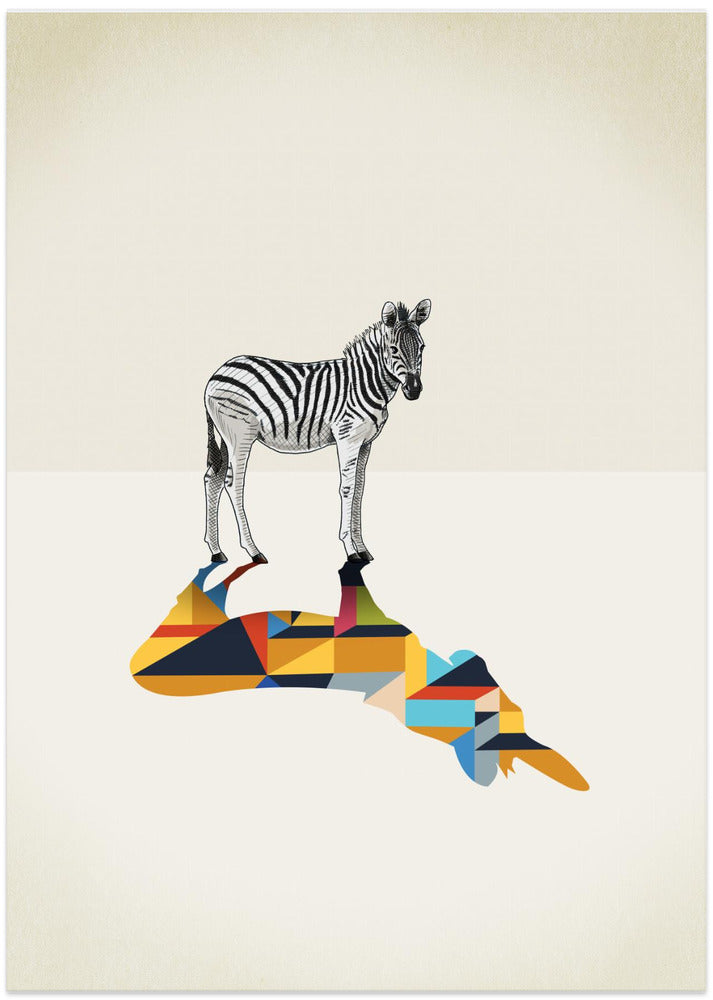 Walking Shadow, Zebra - Art Print by Jason Ratliff