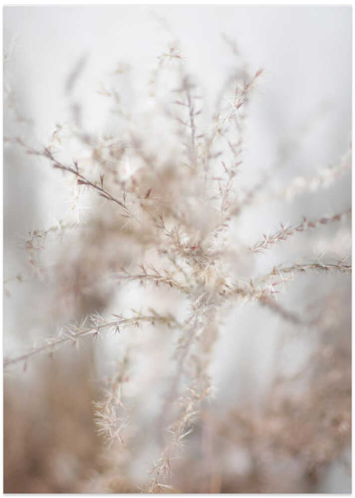 Textured Tendrils - Art Print by Christina Sillen