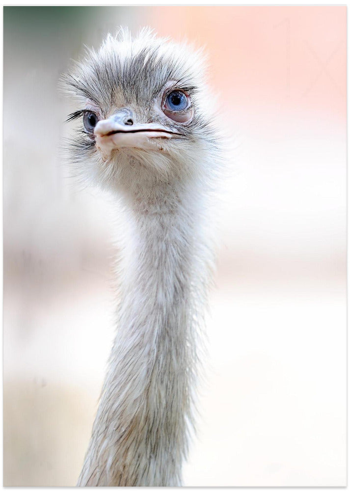 Natural Beauty - Art Print by Fulvio Pellegrini