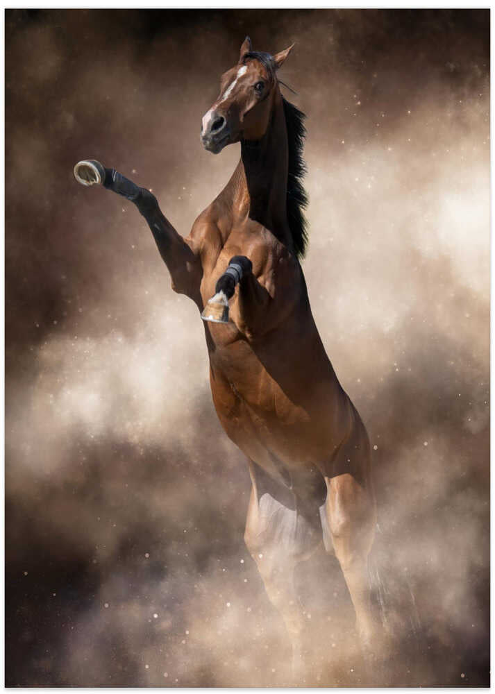Temperament - Art Print by Ulrike Leinemann