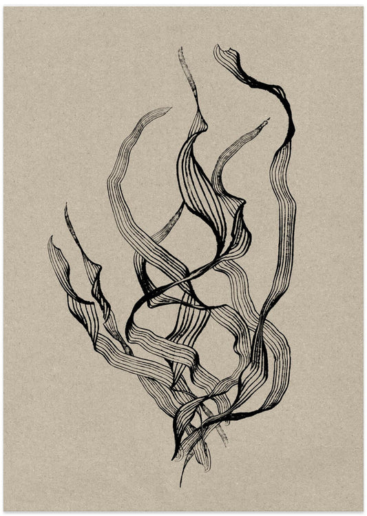 Delicate - Art Print by Dan Hobday