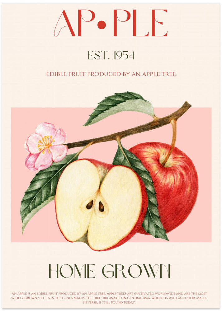 Harvested Apples - Art Print by Nazma Khokhar