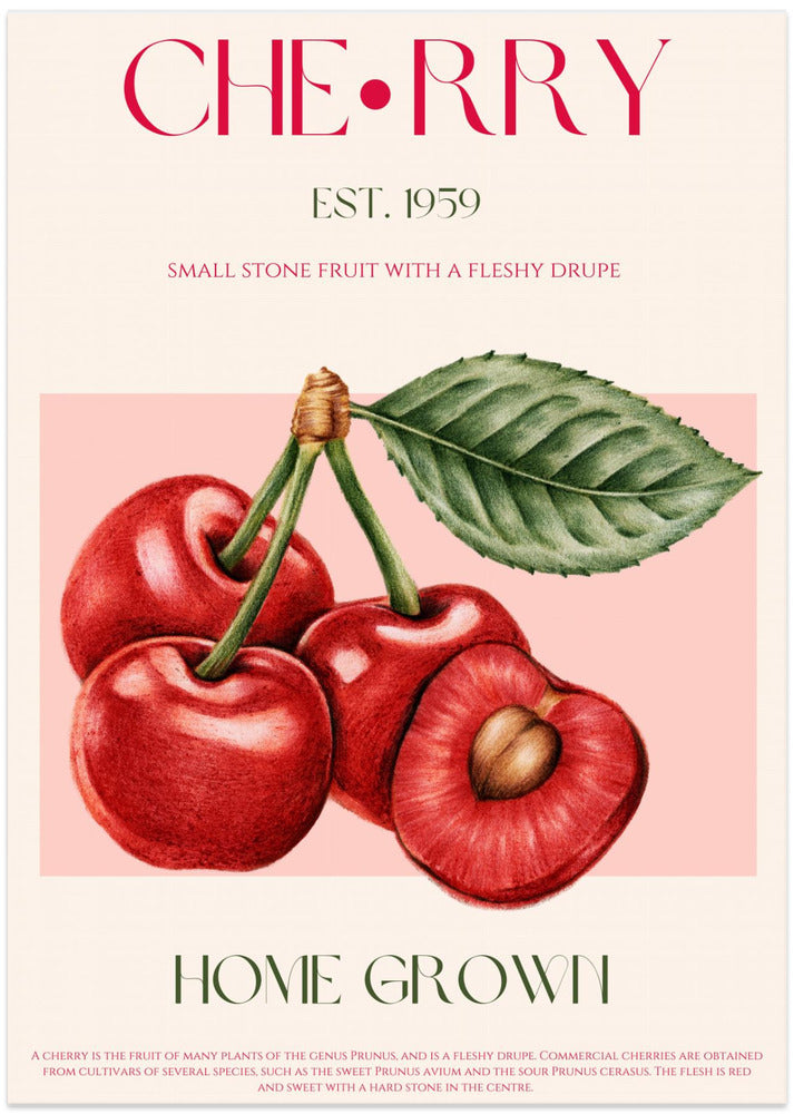 Sweet Red Cherries - Art Print by Nazma Khokhar
