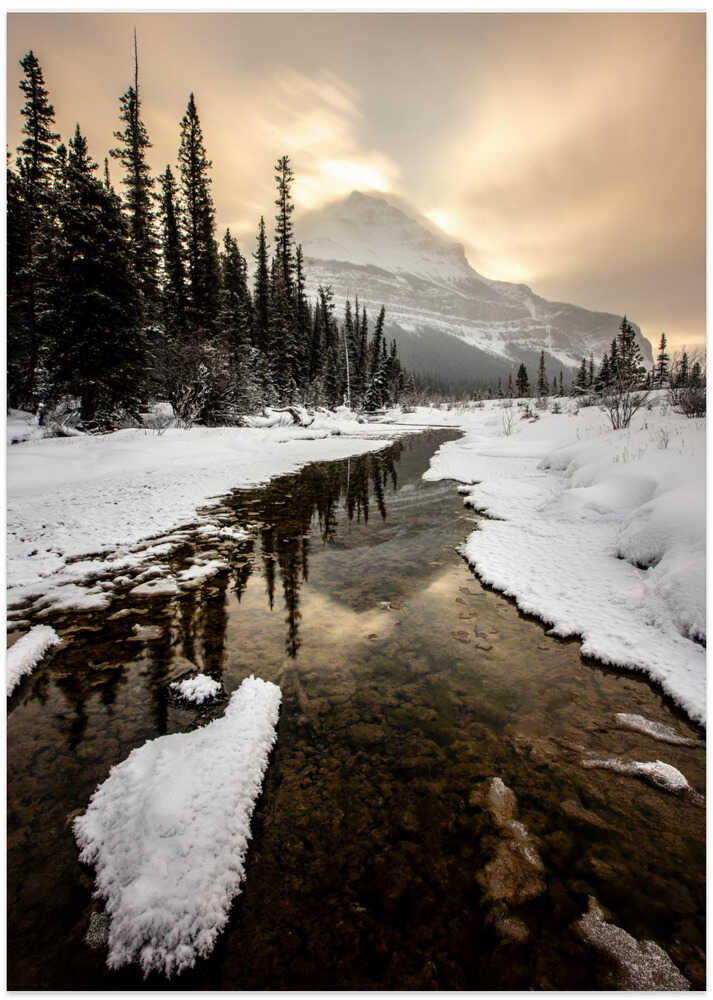 Dawn of Winter - Art Print by April Xie