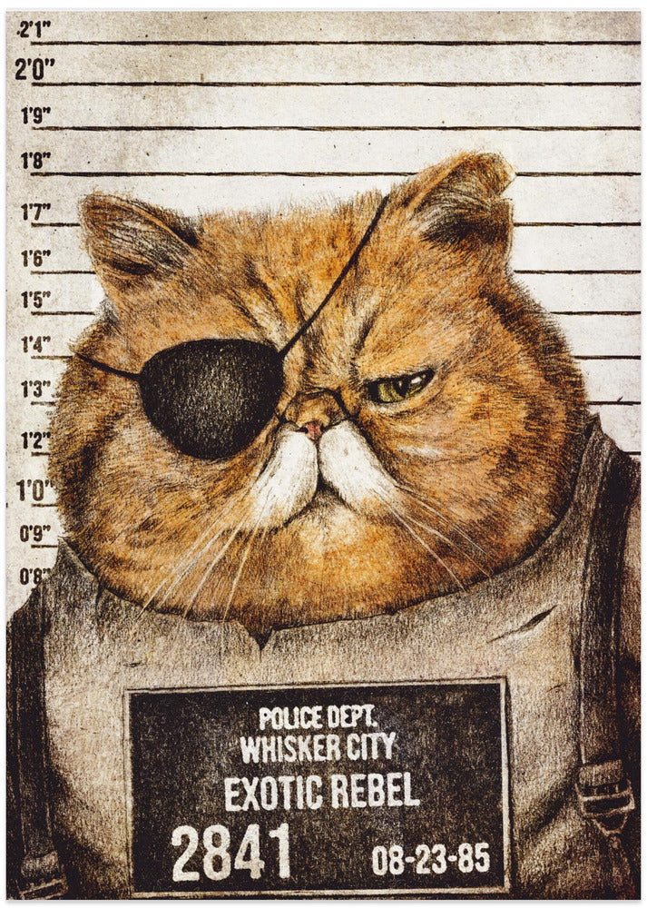 Funny Cat - Art Print by Mike Koubou