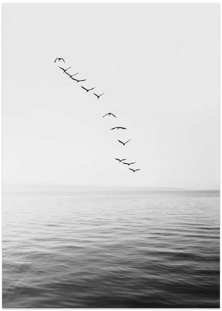 Flying Birds - Art Print by Kathrin Pienaar