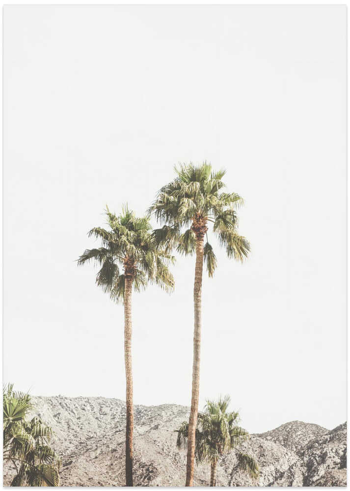 Palm Springs Palms - Art Print by Kathrin Pienaar