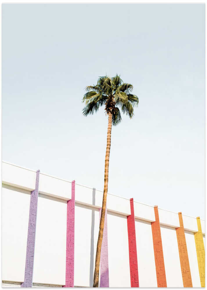 Palm Spring Colors 2 - Art Print by Kathrin Pienaar