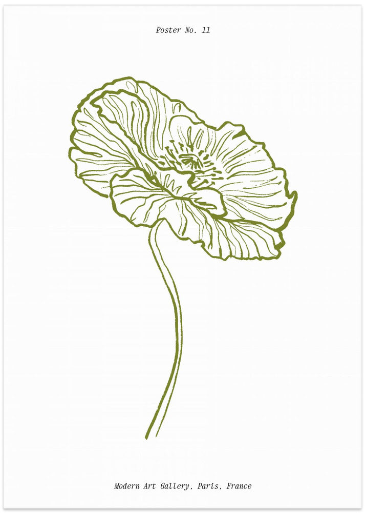 Pale Poppy Sketch - Art Print by Treechild