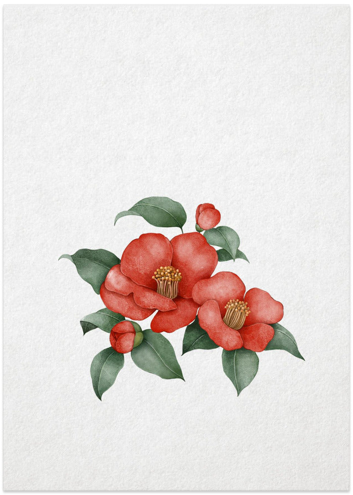 Elegant Camellia - Art Print by Xuan Thai