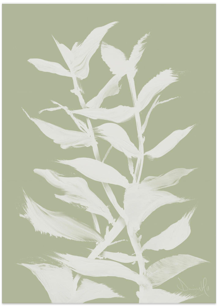 Botan - Art Print by Dan Hobday