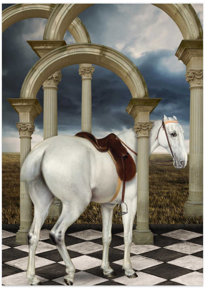 A Lady's Grey Hunter - Art Print by Marja van den Hurk