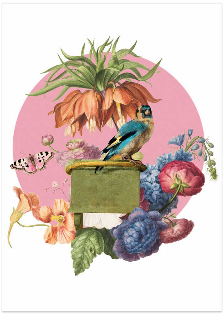 Colorful Bird Perched On A Box - Art Print by Marja van den Hurk
