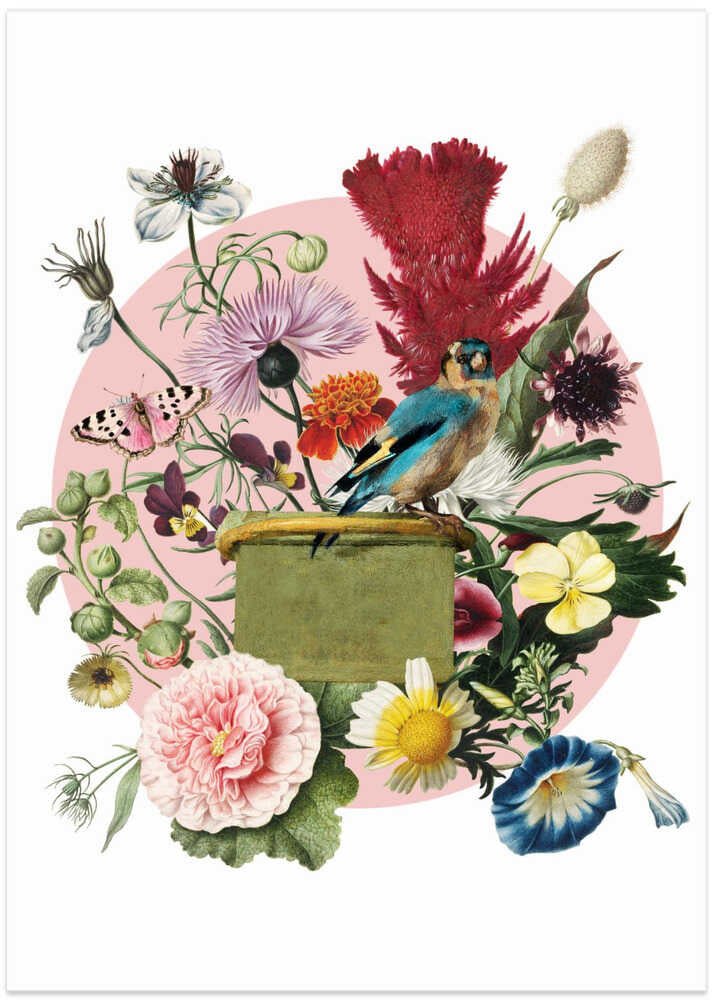 Colorful Bird Perched On A Box - Art Print by Marja van den Hurk