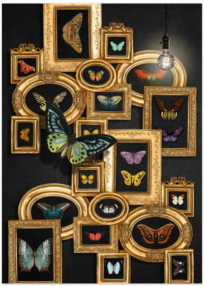 A Collection Of Butterflies - Art Print by Marja van den Hurk