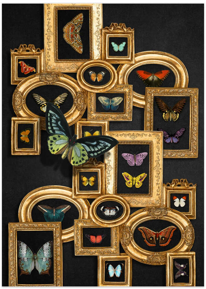 A Collection Of Butterflies - Art Print by Marja van den Hurk