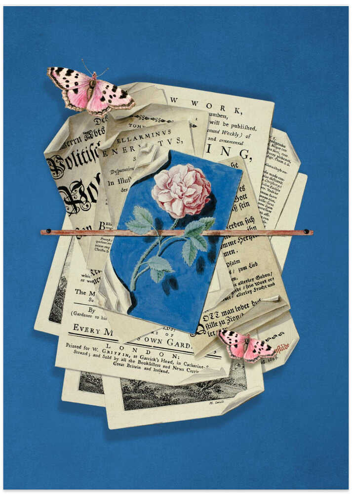 Pink Rose Surrounded By Vintage Paper - Art Print by Marja van den Hurk