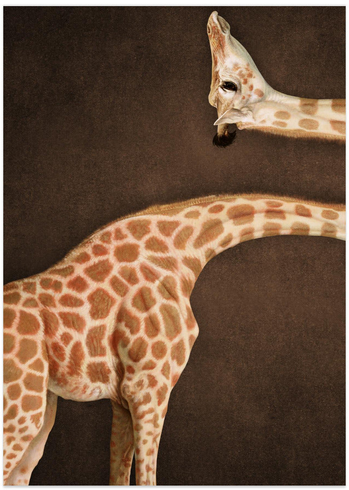 Giraffe Illusion - Art Print by Marja van den Hurk