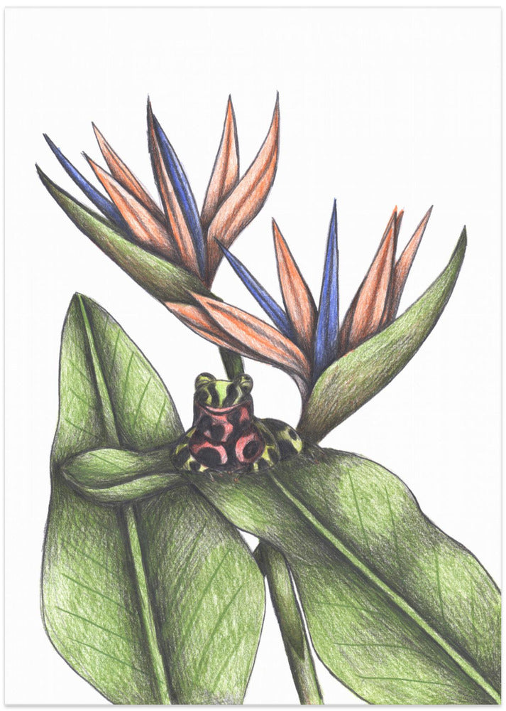 Tropical Harmony - Art Print by Cecilia Battaini