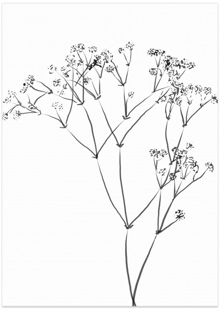 Drawing Line Plant - Art Print by THE MIUUS STUDIO