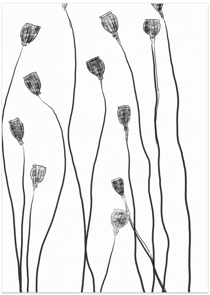 Minimal Line Plant - Art Print by THE MIUUS STUDIO