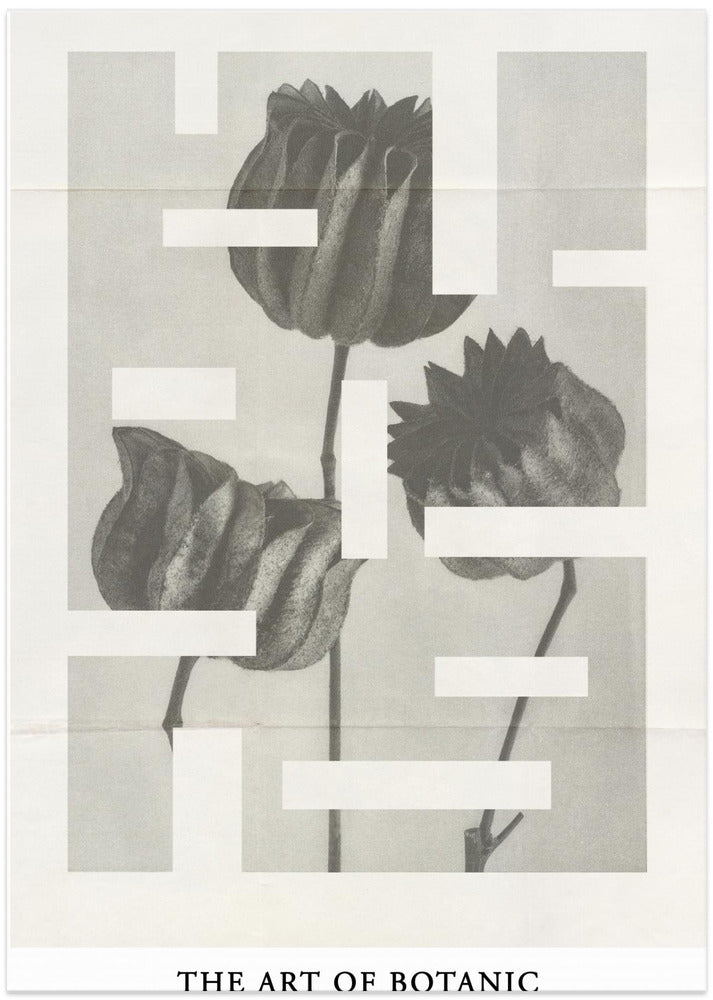 The art of botanic No.1 - Art Print by THE MIUUS STUDIO