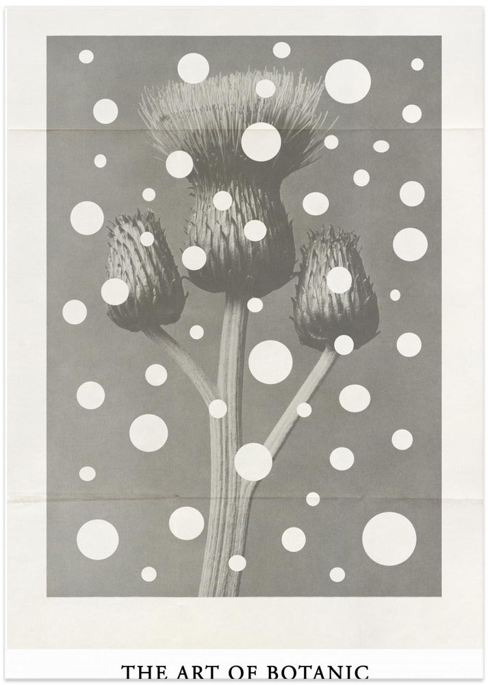 The art of botanic No.2 - Art Print by THE MIUUS STUDIO