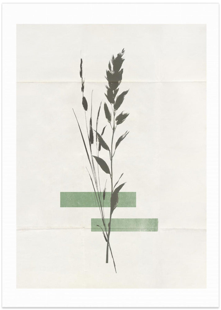 Modern Plants No.3 - Art Print by THE MIUUS STUDIO