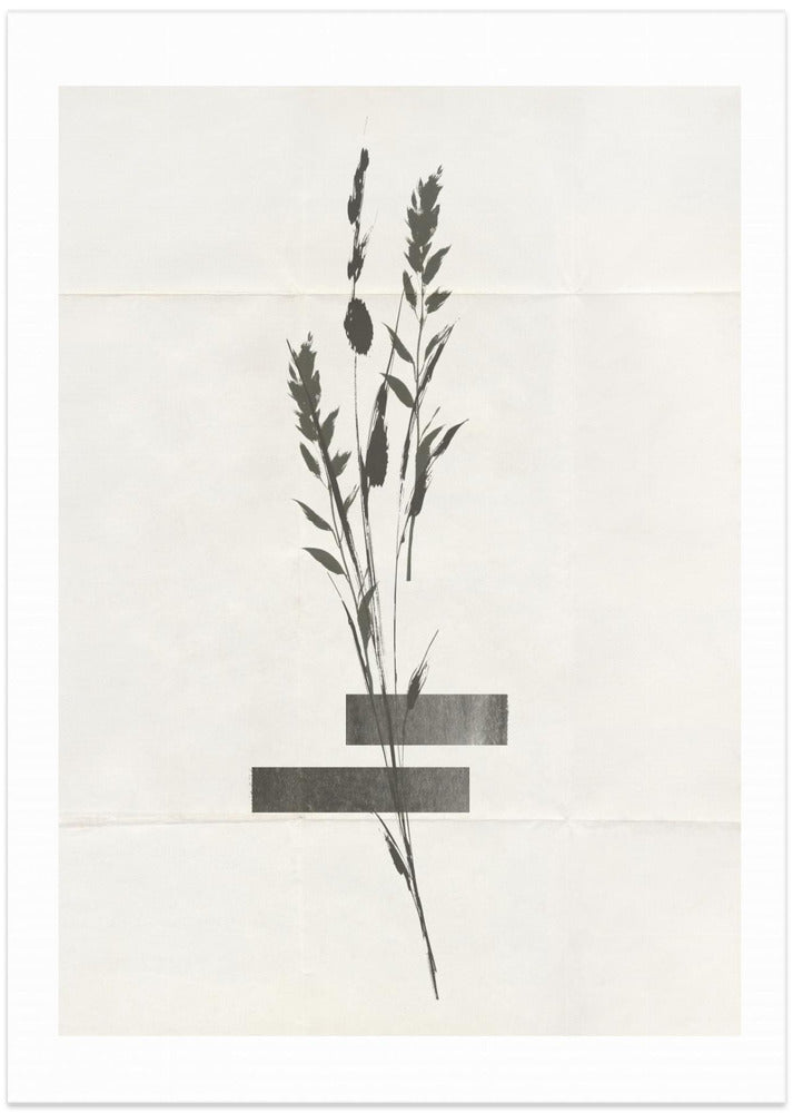 Modern Plants No.4 - Art Print by THE MIUUS STUDIO